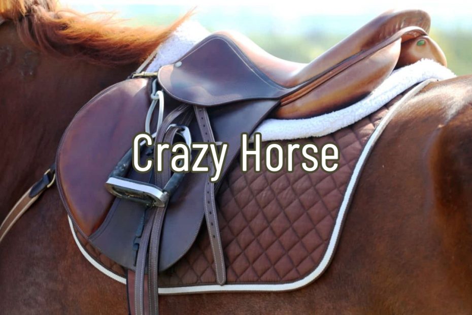 Crazy Horse Leather